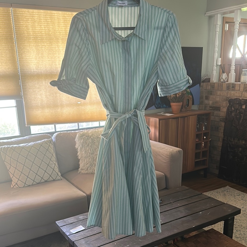 Calvin Klein Green and White Ruffled Midi Dress